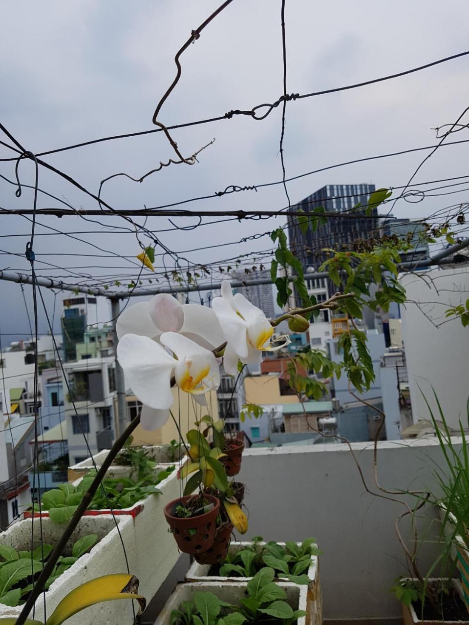 Urban House Saigon 2 Leilighet Ho Chi Minh-byen Eksteriør bilde